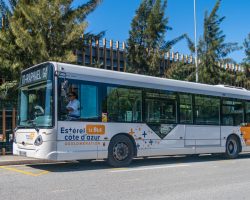 Bus